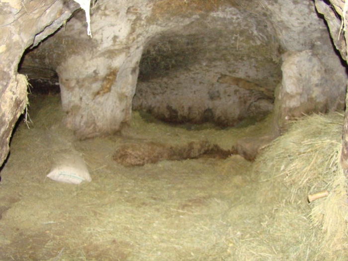 روستای سور