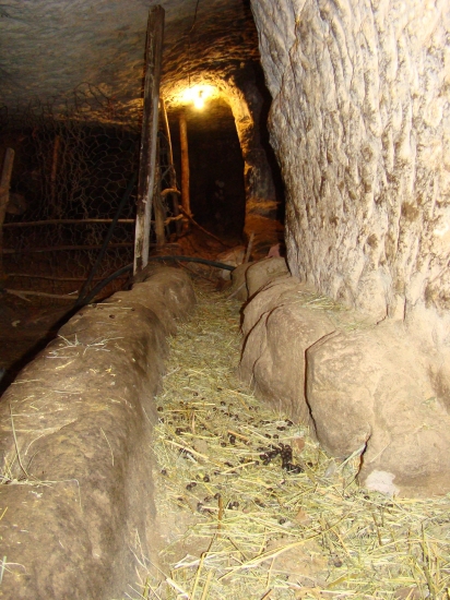 روستای سور