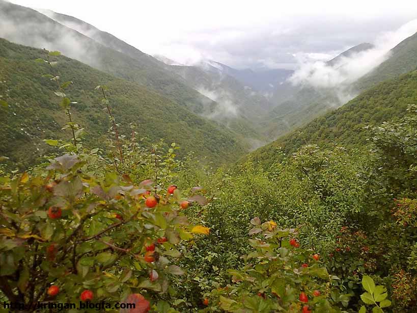 روستای کرینگان