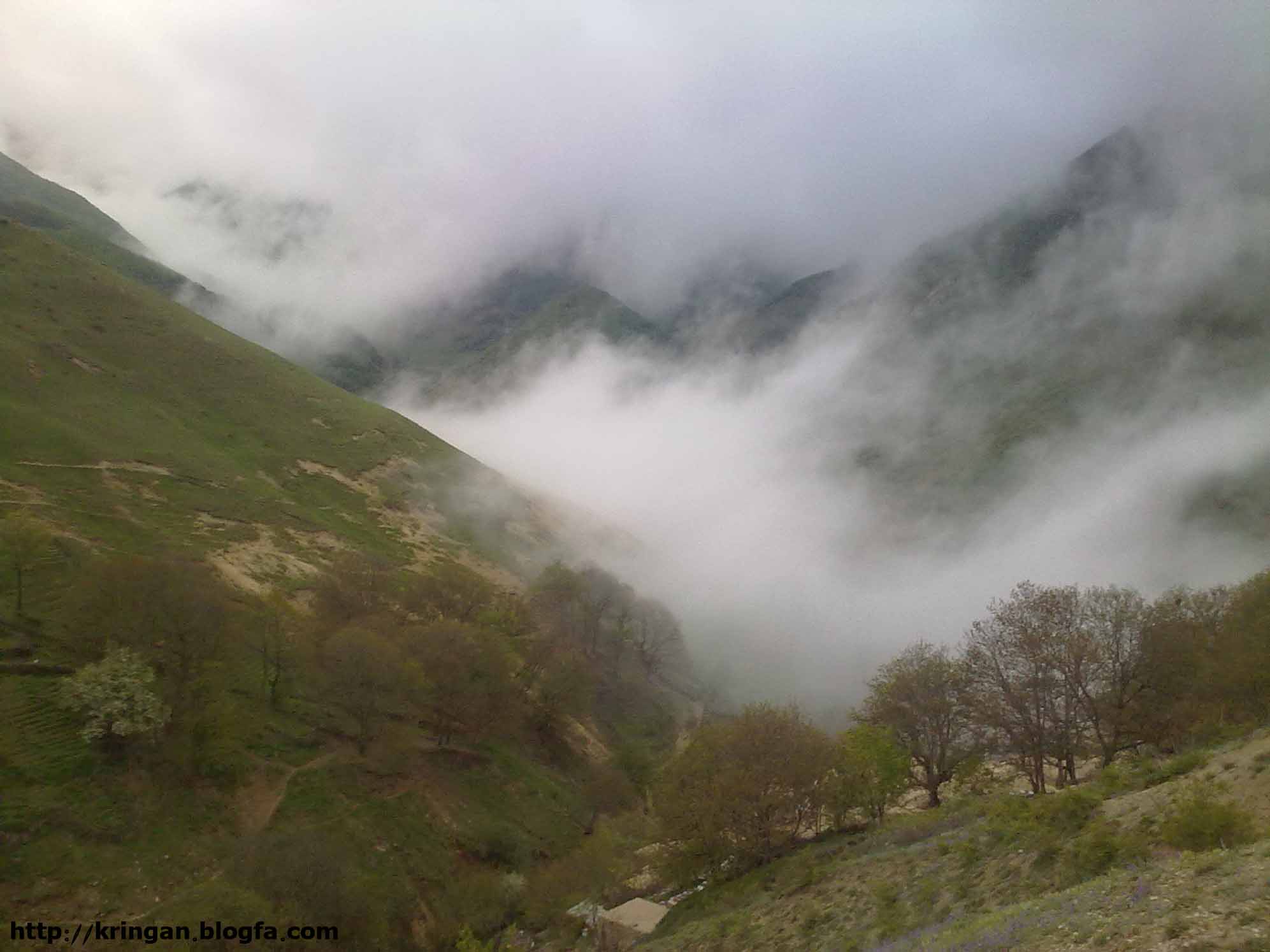 روستای کرینگان