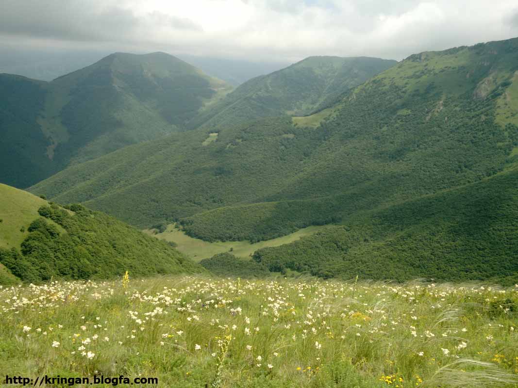 روستای کرینگان