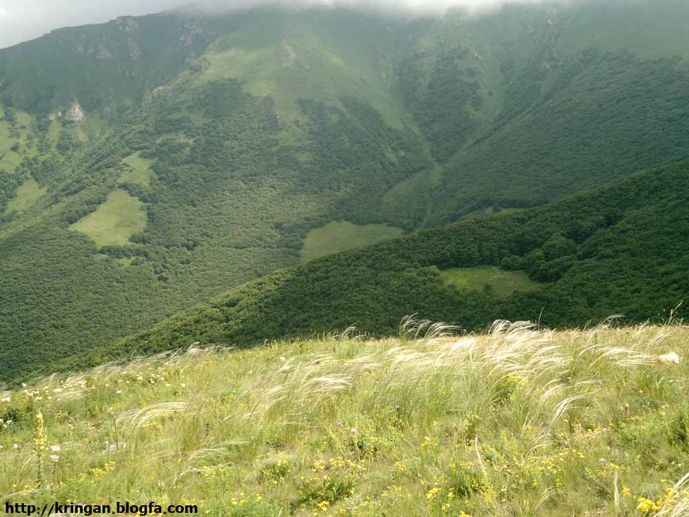 روستای کرینگان