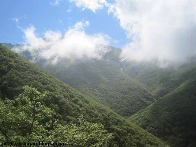 روستای کرینگان