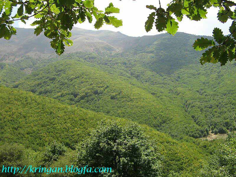 روستای کرینگان