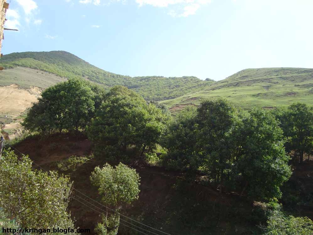 روستای کرینگان