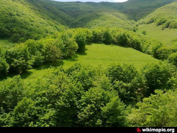 منطقه جنگلی چیچکلی