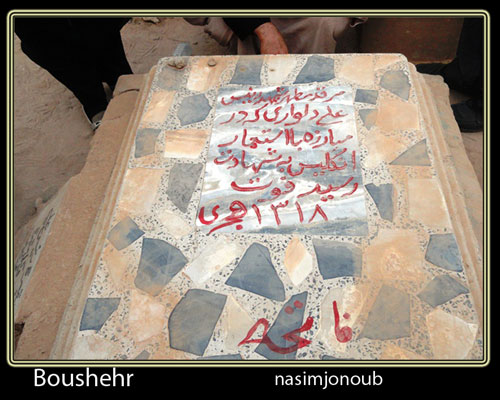 موزه رئیسعلی دلواری