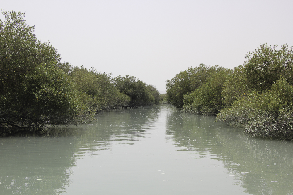 خلیج فارس