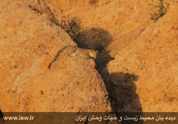 پارک ملی ساریگل