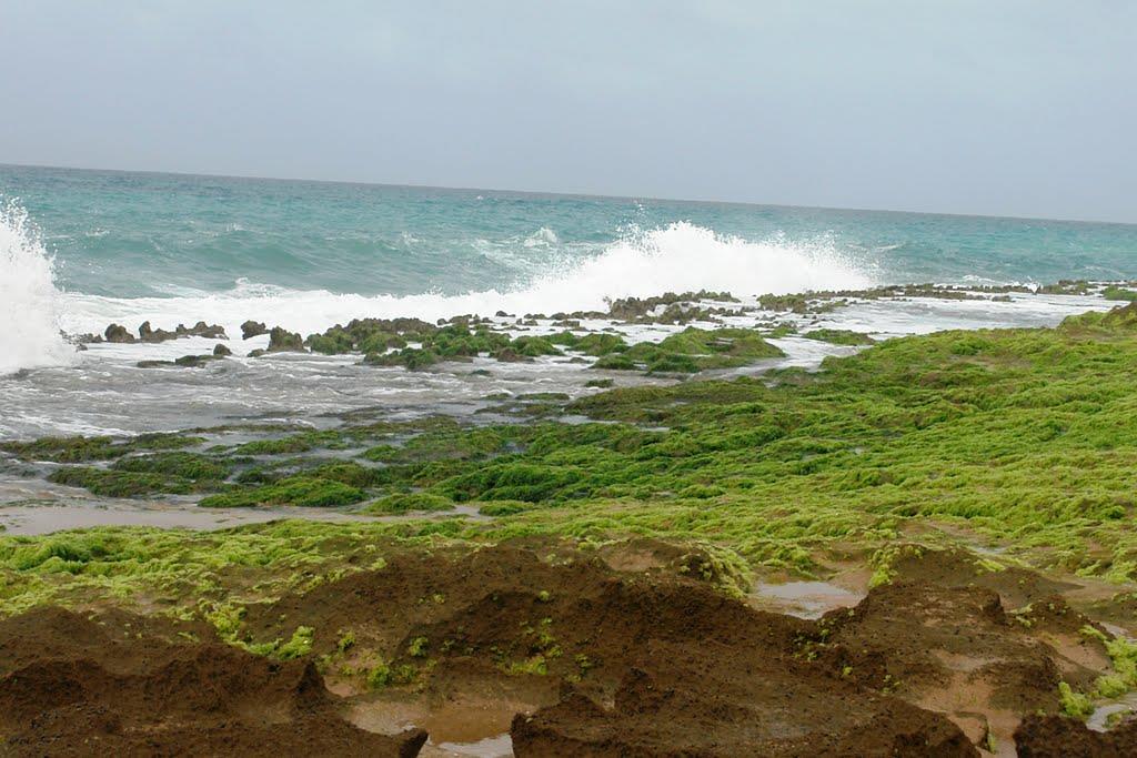 سواحل زیبای چابهار