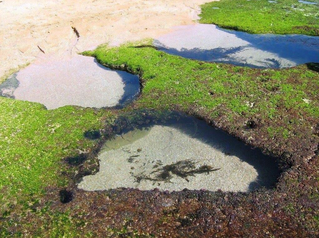 سواحل زیبای چابهار