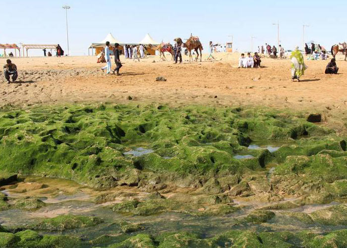 سواحل زیبای چابهار