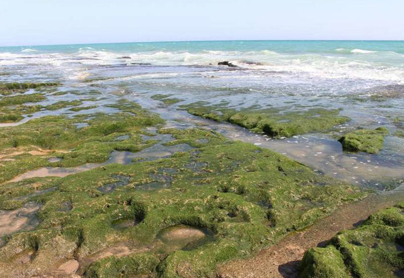 سواحل زیبای چابهار