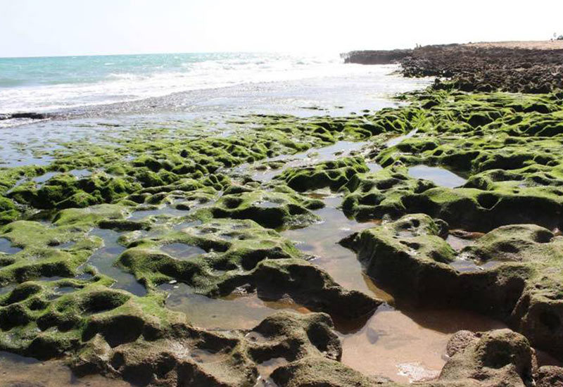 سواحل زیبای چابهار