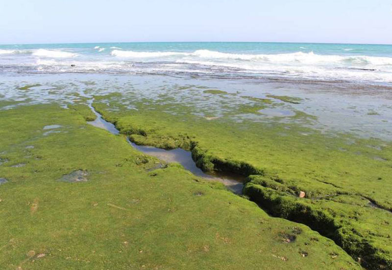 سواحل زیبای چابهار