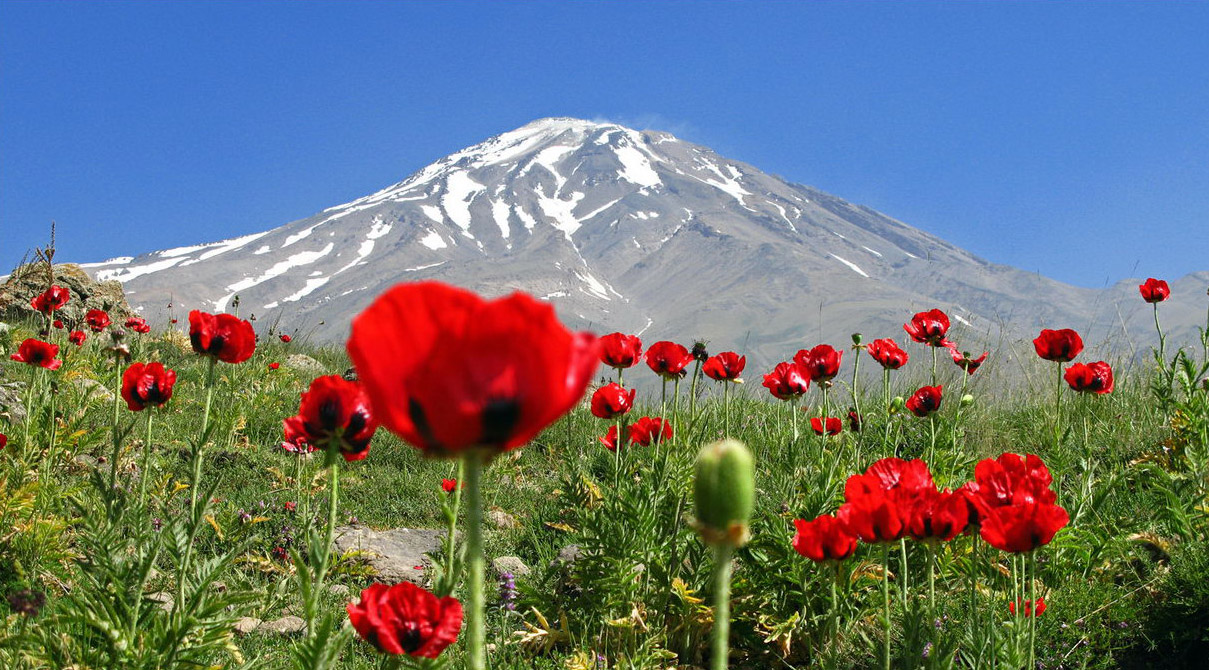 کوه دماوند