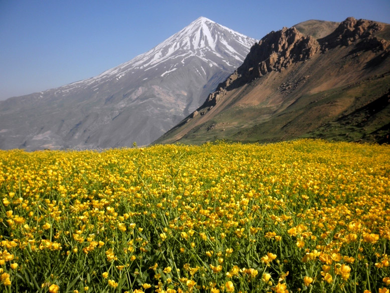 کوه دماوند