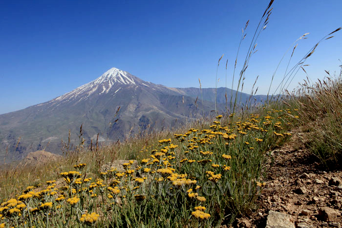 کوه دماوند