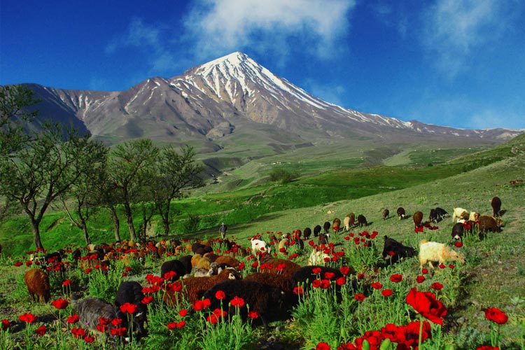 کوه دماوند