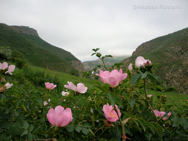 روستا و غار دوگیجان