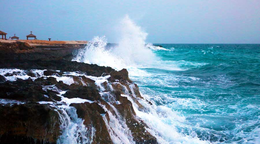 سواحل کیش