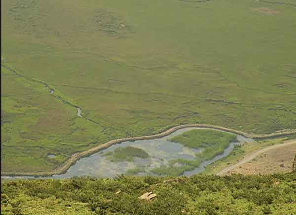 تالاب گندمان