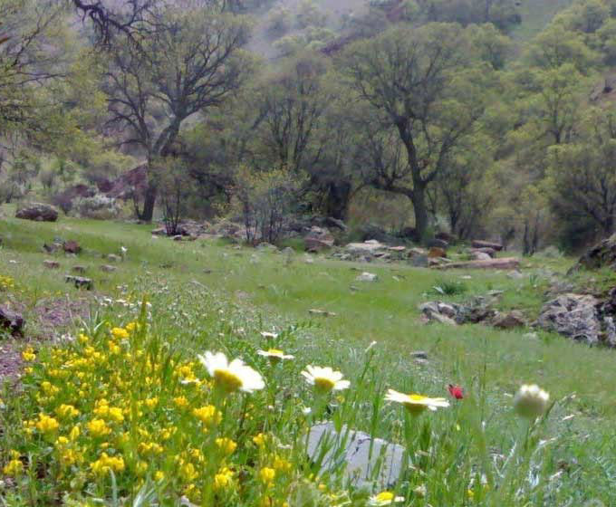 منطقه حفاظت شده دنا