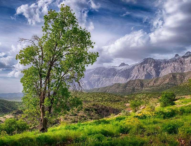 منطقه حفاظت شده دنا