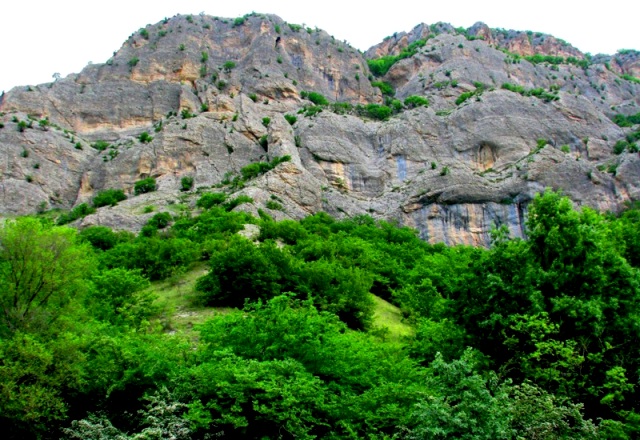 پارک ملی گلستان