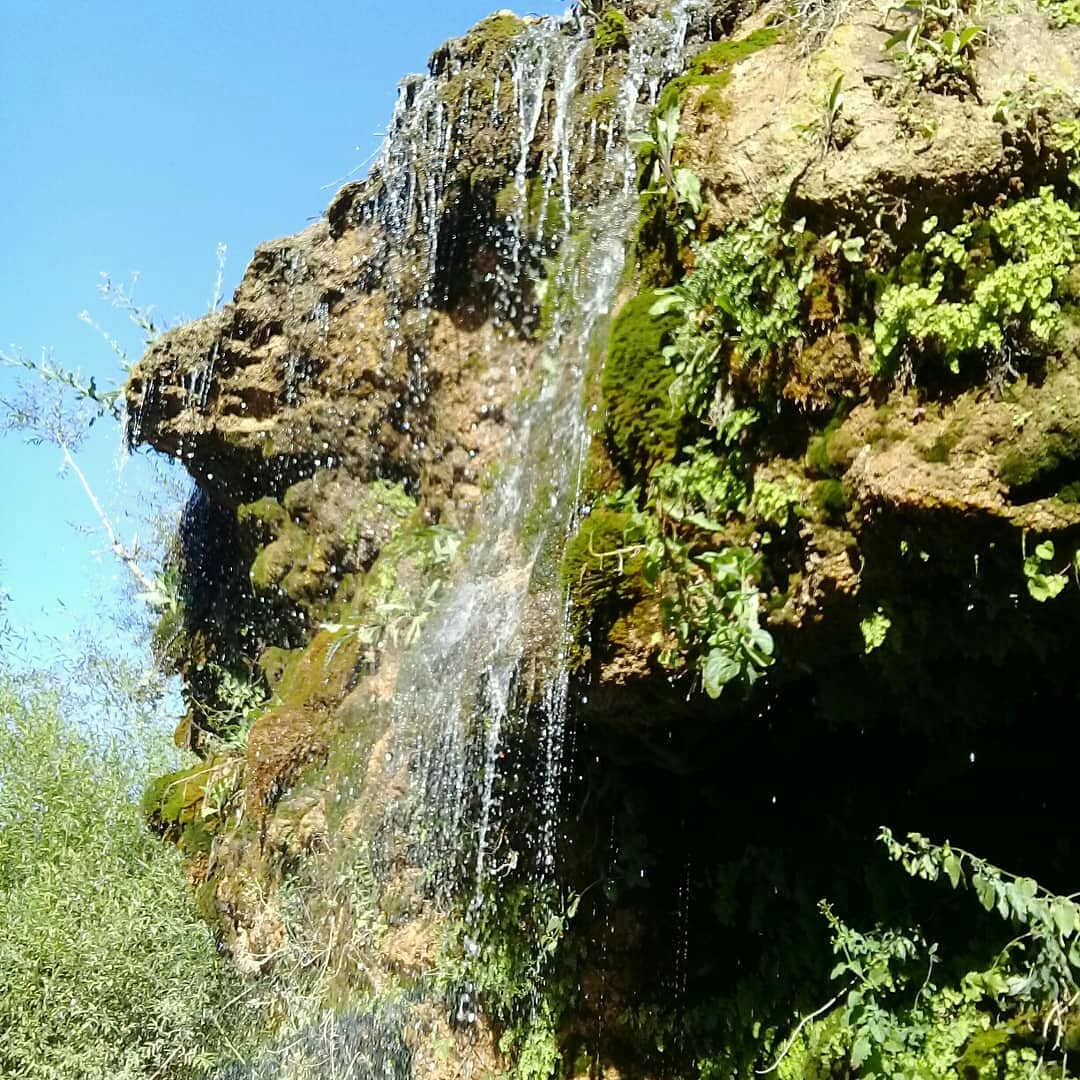 روستای سر آقا سید