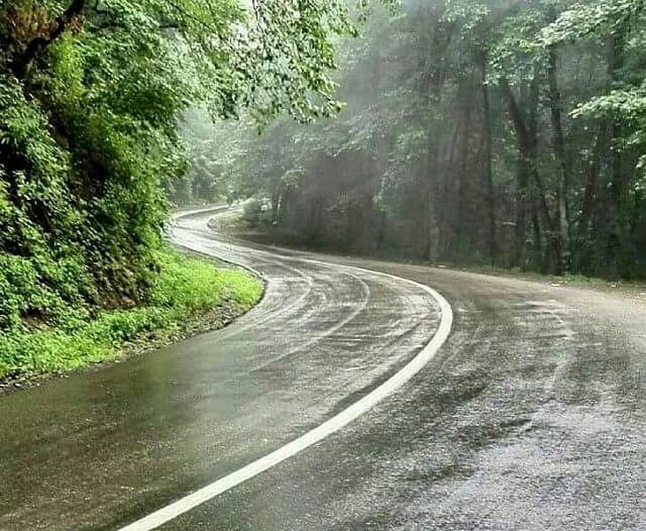 پارک جنگلی گیسوم