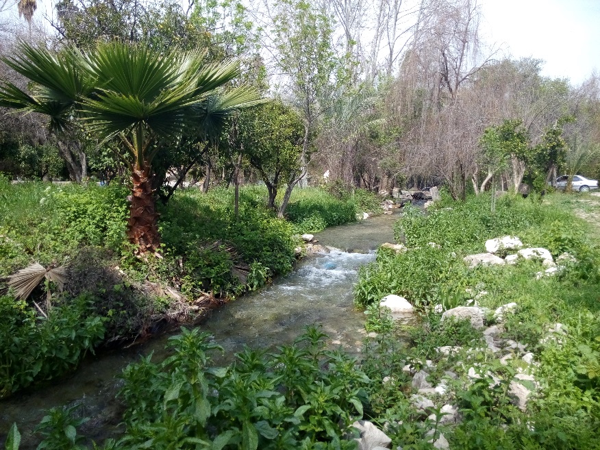 باغ چشمه بلقیس