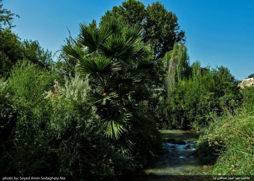 باغ چشمه بلقیس