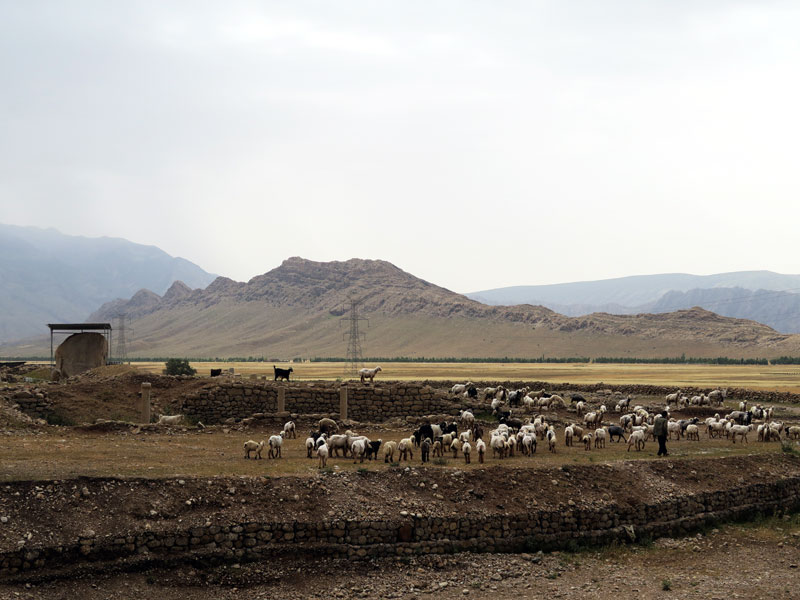 سنگ‌ نگاره های کول فرح