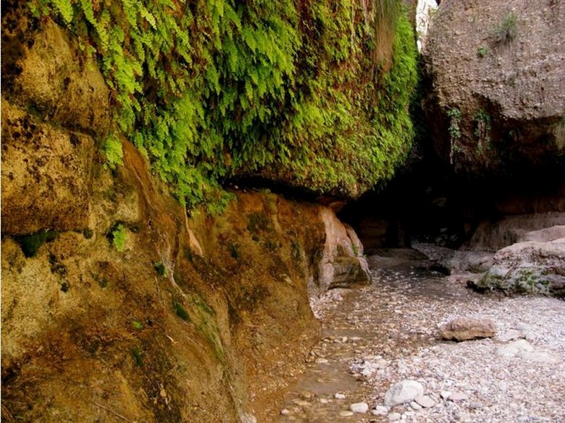 غار زینگان