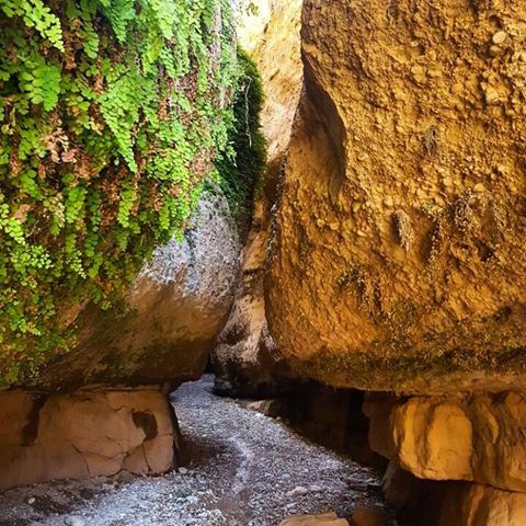 غار زینگان