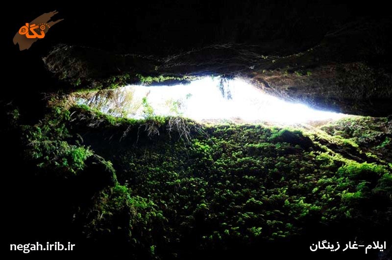 غار زینگان