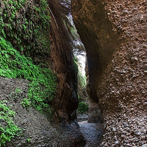 غار زینگان