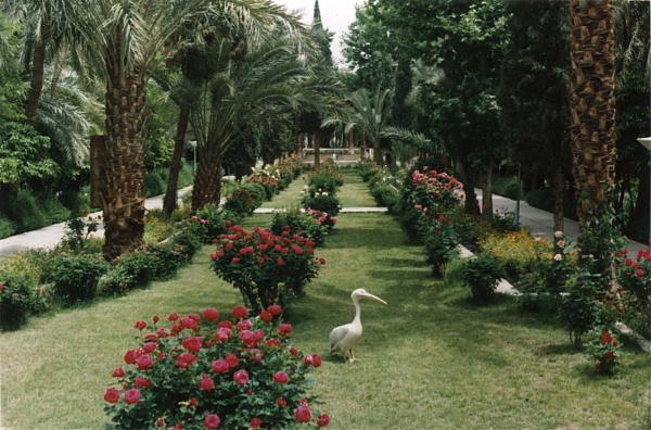 باغ گلشن طبس