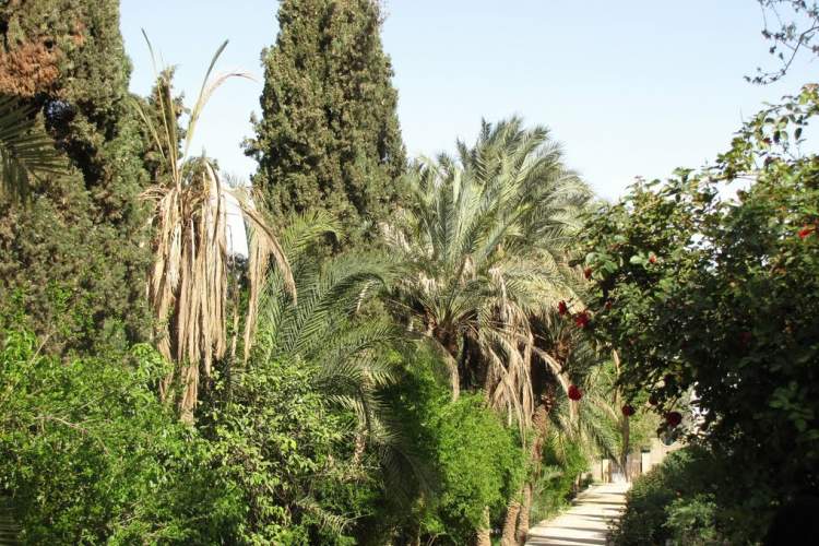 باغ گلشن طبس